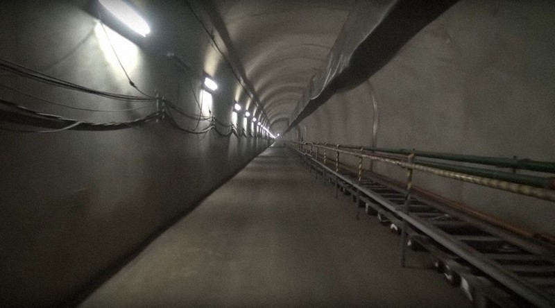 トンネルドッグ　事業継承 トンネルドッグ 事業継承