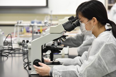 顕微鏡で細菌観察をする成女高校の生徒