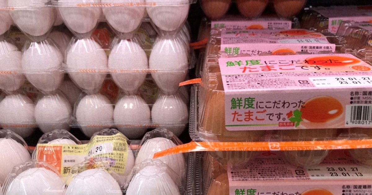 Egg price hikes hit record high in Japan due to Russia's war on Ukraine