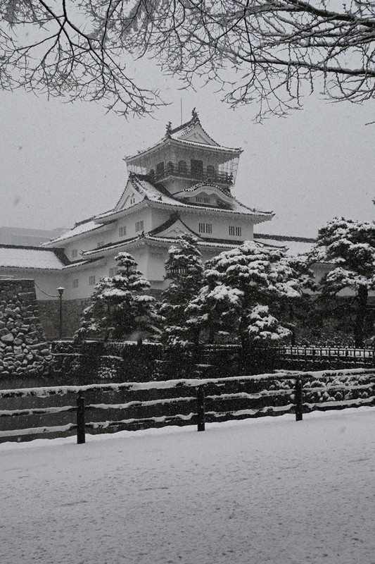 北陸大雪 金沢、26年ぶり氷点下5度 福井で立ち往生も ／富山 | 毎日新聞