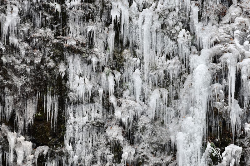 秩父三大氷柱「三十槌の氷柱」見ごろ 「尾ノ内の氷柱」も [写真特集1