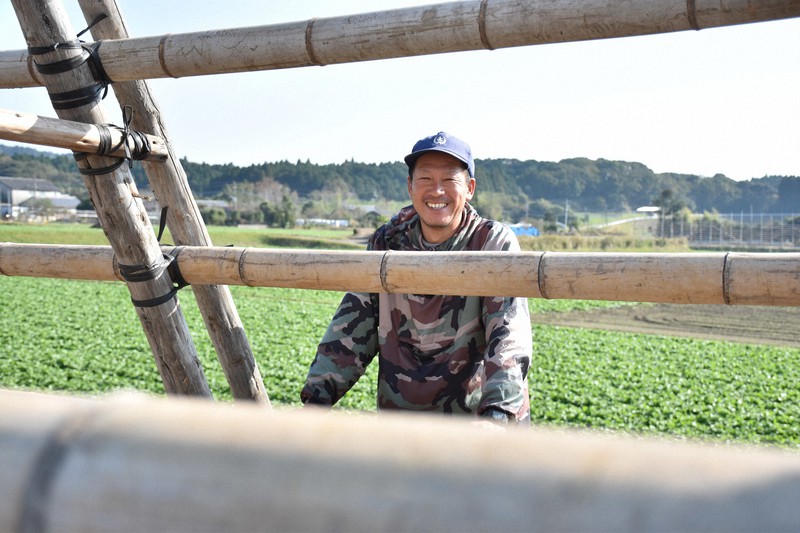 冬空を突く「大根やぐら」 宮崎の伝統農法に魅せられた親子2代 | 毎日新聞