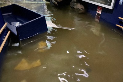 ビワコオオナマズの大型水槽が破損した滋賀県立琵琶湖博物館の水族展示室＝同館提供