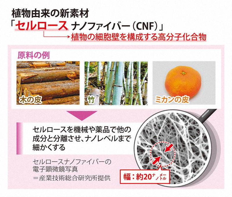 くらしナビ・環境：裾野広がる、植物由来の新素材 | 毎日新聞