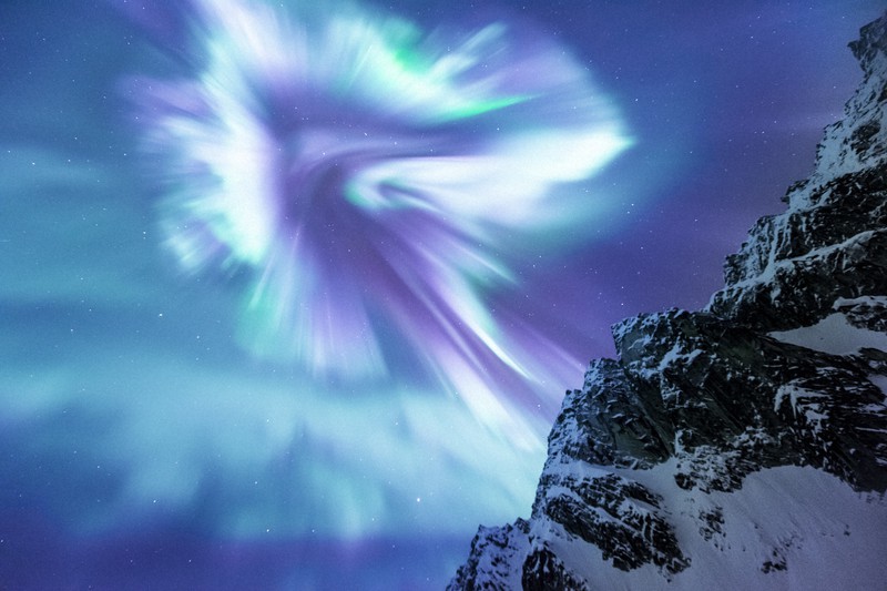 アラスカ写して30年 写真家が伝えたい「地球の未来と危機」 | 毎日新聞