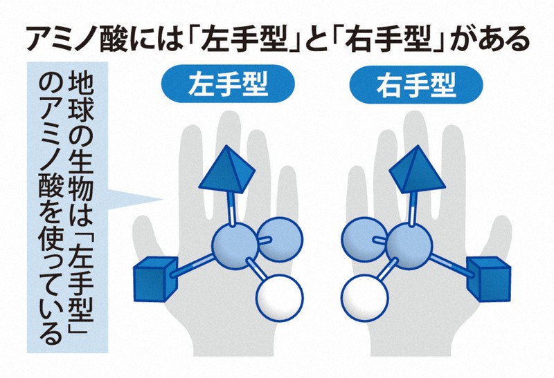 アミノ酸には「左手型」と「右手型」がある