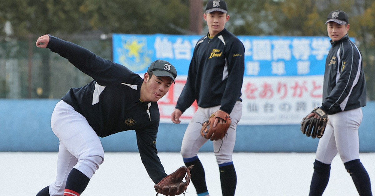 挑む・'23センバツ：仙台育英・東北・能代松陽 戦力分析／上 仙台