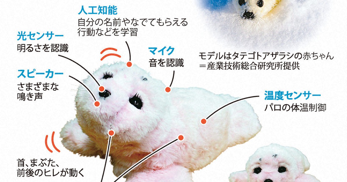 科学の森：世界癒やす日本発「アザラシ」 医療に介護に、活躍する