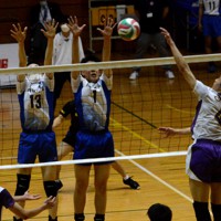 熱戦が繰り広げられたさくらバレー2023の男子決勝＝東京都町田市で2023年3月24日、曽根田和久撮影