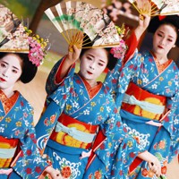 都をどり」、芸舞妓が稽古の総仕上げ 京都 [写真特集1/11] | 毎日新聞