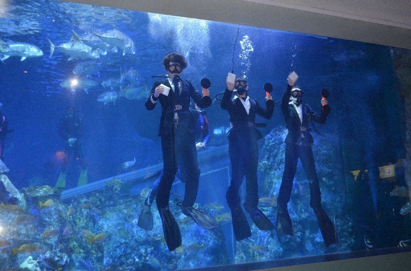 New staff get underwater entrance ceremony at Japan aquarium The Mainichi