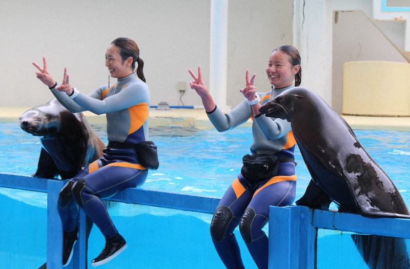 念願のイルカのお姉さんに」 水族館トレーナー、デビューに涙 | 毎日新聞