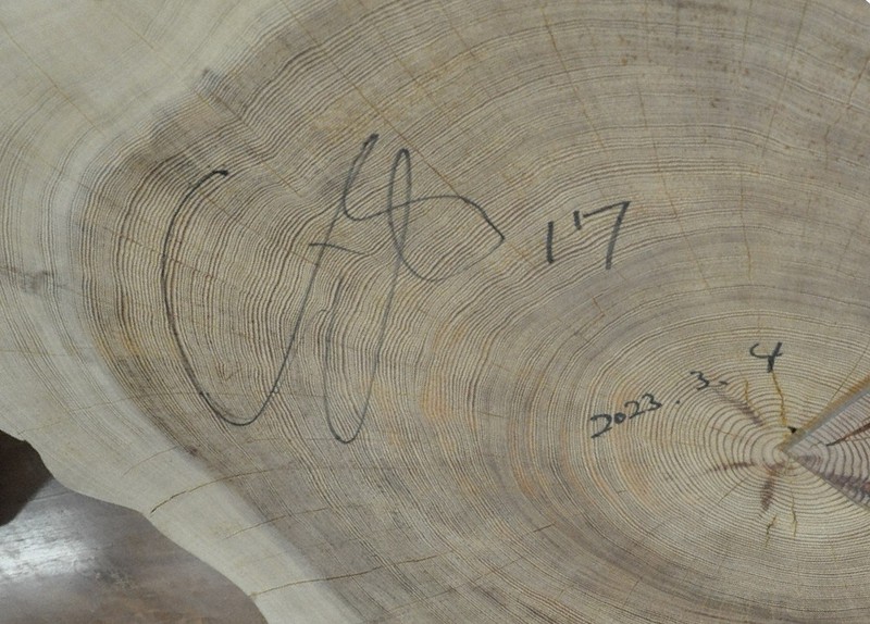 大谷翔平選手のサイン入り切り株 名古屋城で展示期間延長 | 毎日新聞