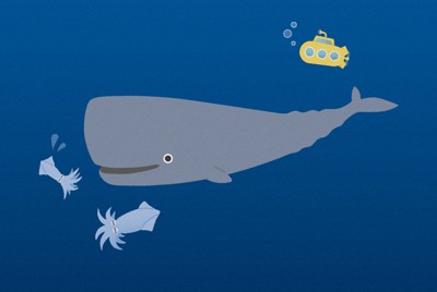 クジラが回遊する海には好物のイカだけでなく潜水艦も