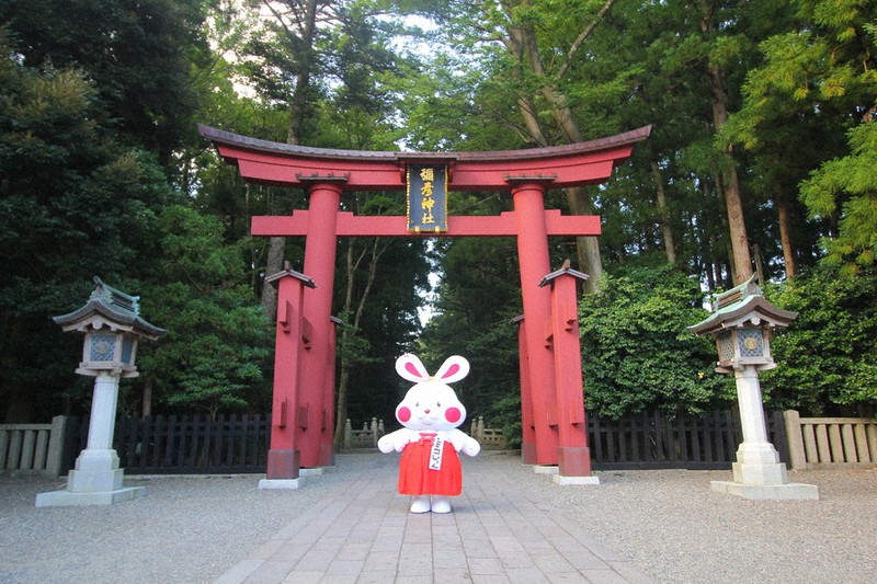 ゆるキャラらんど：ミコぴょん 新潟県弥彦村 | 毎日新聞
