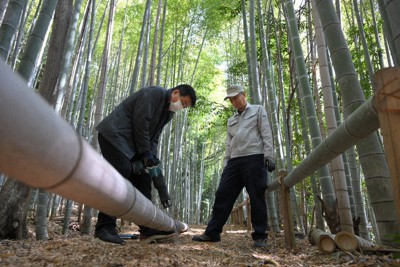 「細根公園特定愛護会」に入会したばかりの東義明さん（左）に枯れた竹の処理方法を教える永森洋一さん＝名古屋市緑区で