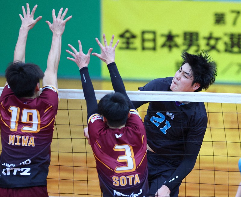 バレーボール　ロンt 日体大 公式ショップ】日体大9人制バレーボール部
