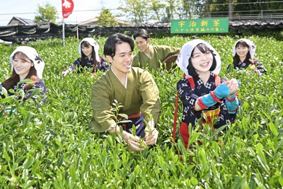 「宇治新茶・八十八夜茶摘みの集い」で新茶を摘む宇治茶宣伝隊＝京都府宇治市で2023年5月2日午前10時23分、山崎一輝撮影