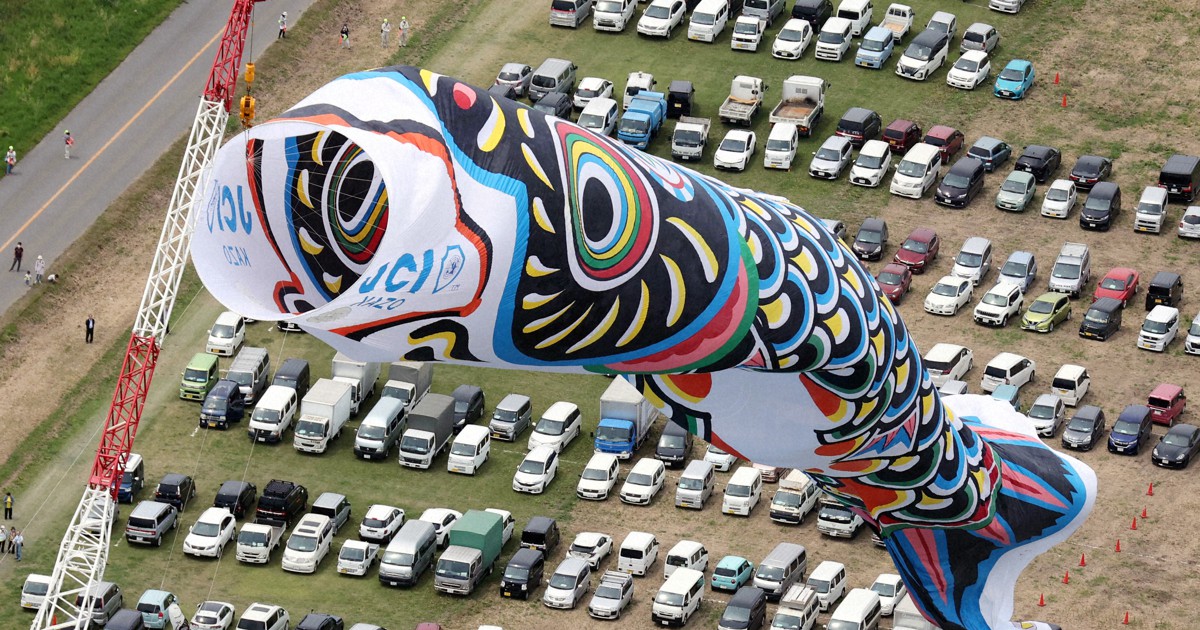 ジャンボこいのぼり、空に舞う 4年ぶり通常開催 埼玉・加須 | 毎日新聞