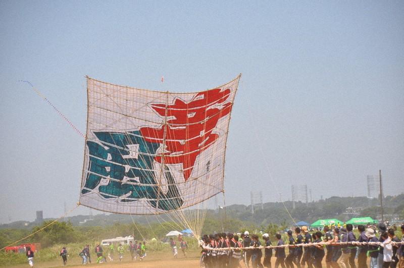 大凧まつり 「華風」に舞い、病散らせ 相模川河川敷 ／神奈川 | 毎日新聞
