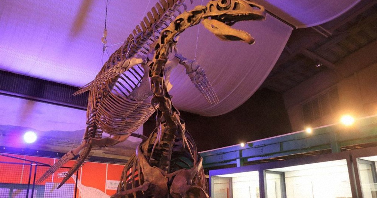 発見！地域のお宝：学芸員とっておき秘話／4 エコミュージアムセンター