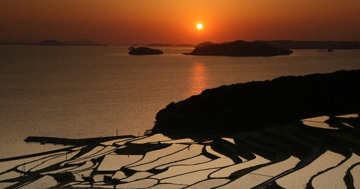 玄界灘に沈む夕日 あかね色の棚田、まるで影絵 長崎・土谷棚田 | 毎日新聞