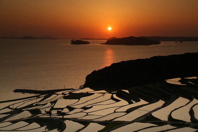 夕日照らす影のアート 松浦・土谷棚田 ／長崎 | 毎日新聞