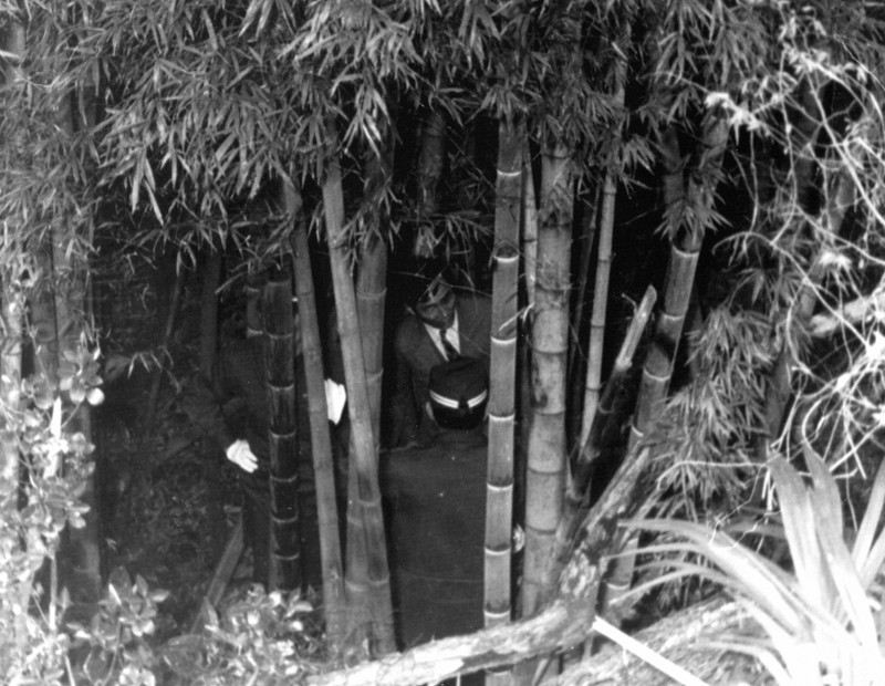 3 decades on, case of 1.7 mil. found in Japan bamboo grove reveals