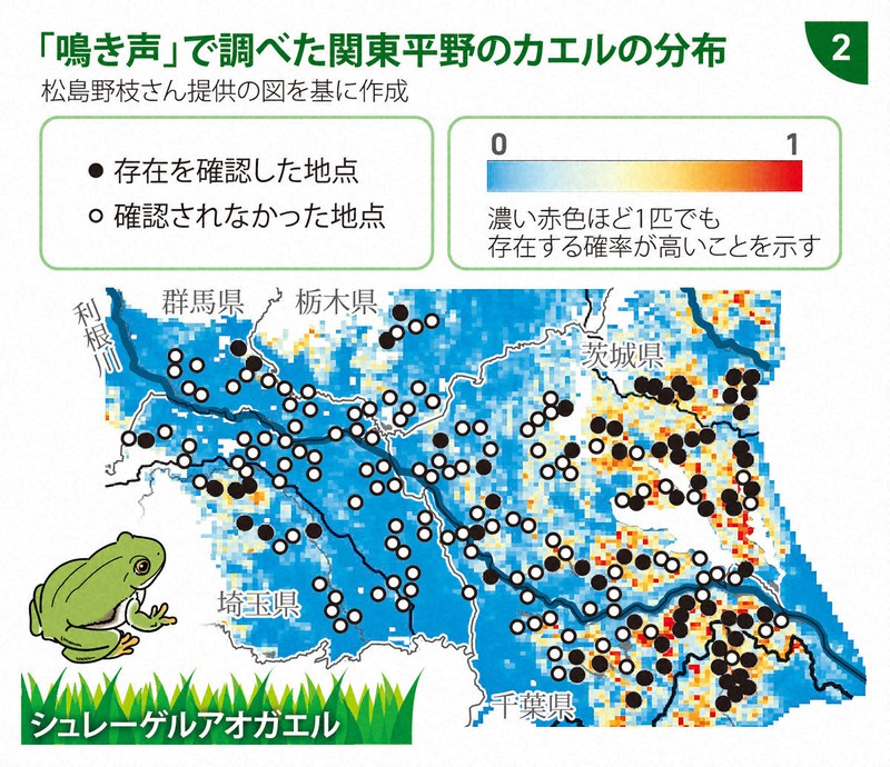 調査道具はICレコーダー 市民参加で探るカエルの分布 | 毎日新聞
