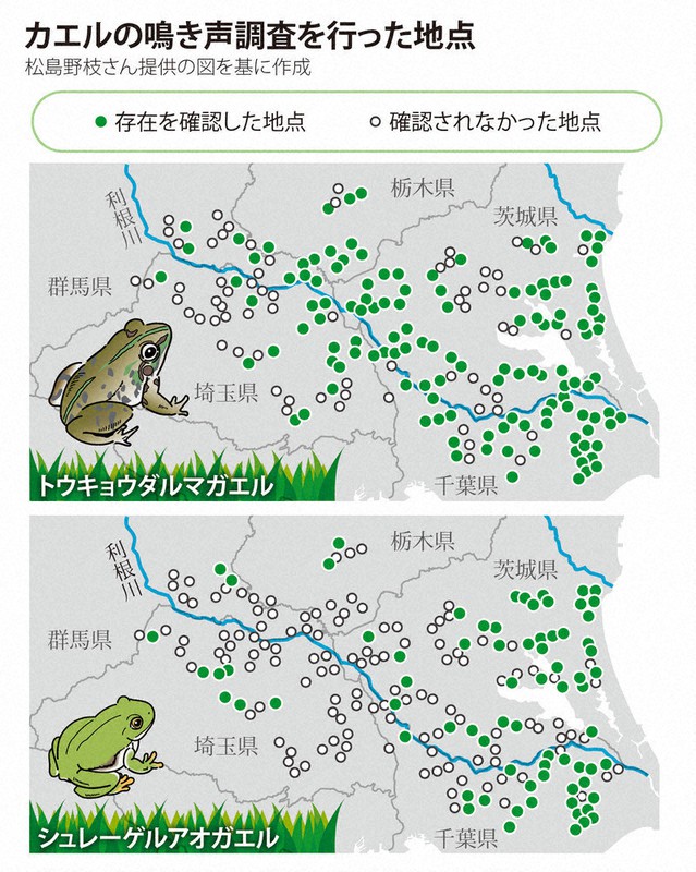 くらしナビ・環境：カエルの分布、鳴き声で探る | 毎日新聞