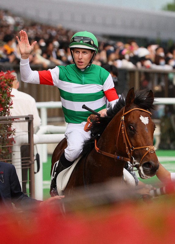 2024年 日本ダービー タスティエーラ ポスター 2024日本ダービー ポスター｜日本サイン競馬会