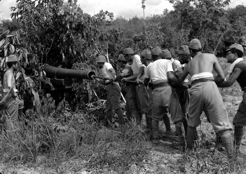写真の特徴 | 毎日新聞