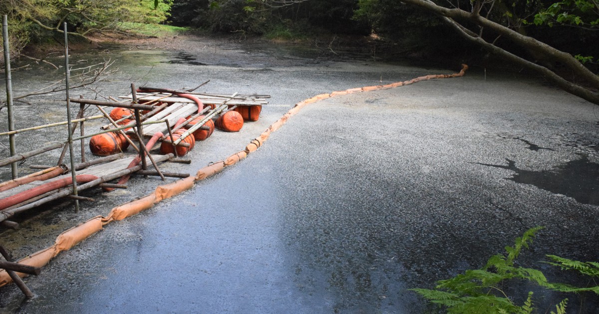 汚水流出、処分地関連法の不備… 鳥インフルで埋却巡りトラブル多発