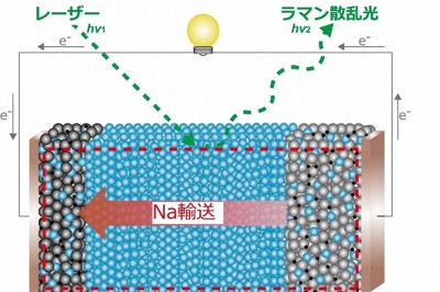 全体イメージ