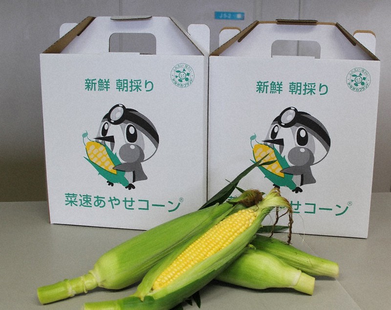 コーンさんページ　⭐︎6点おまとめ⭐︎ 菜速コーン出荷始まる 綾瀬「最速」でお届け ／神奈川 | 毎日新聞