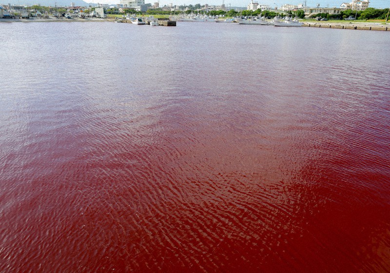 信じられない！ペルーの中心部で赤く染まる川