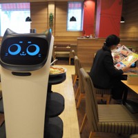 配膳するニャー」 けなげに働くファミレスの「ネコ型ロボ」 [写真特集1