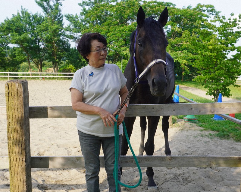【お値下】現地購入馬券ナイスネイチャ96年11月16日東京 第34回AR杯引退R お値下】現地購入馬券ナイスネイチャ96年11月16日東京 第