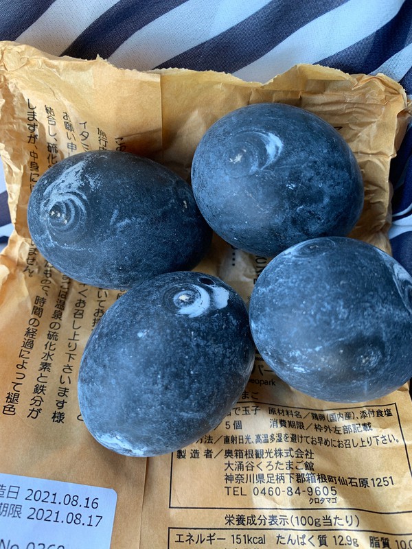 Teen's scientific passion leads to debunking theory on famed 'black