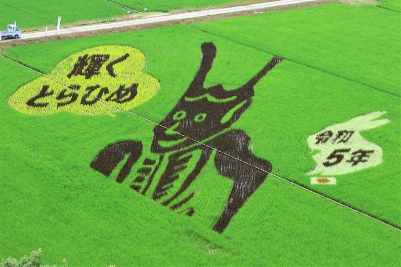 さよなら、またいつか 美しき水田の芸術に幕 8月上旬まで 滋賀 | 毎日新聞