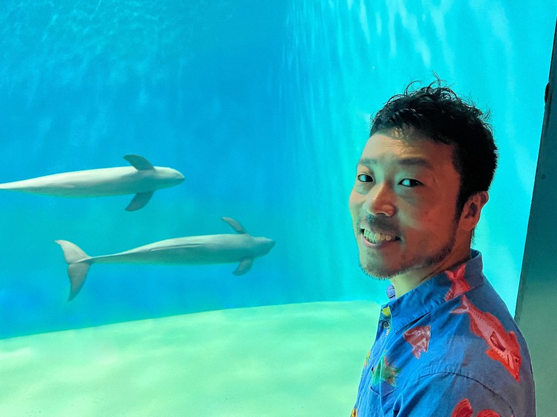 群青イルカ◆自己紹介参照 これが君の声青の歌 イルカ・クジラ写真集『これが君の声 青の歌