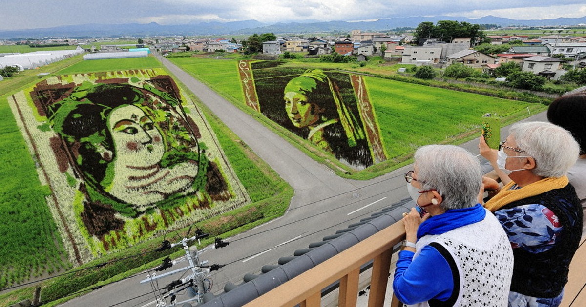 名画 色鮮やか、細密に表現 田舎館、田んぼアート ／青森 | 毎日新聞