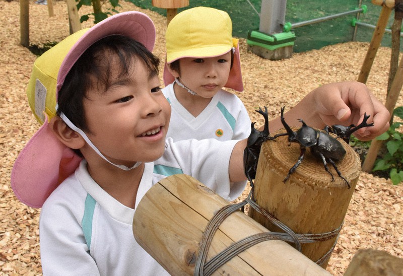 飛び出せ、カブトムシ 「虫の楽園」新装 田村・昆虫館、開業記念式に