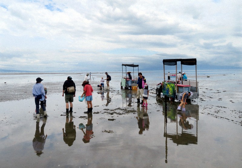 ふらっとぶらっと：熊本 荒尾干潟水鳥・湿地センター（熊本県荒尾市