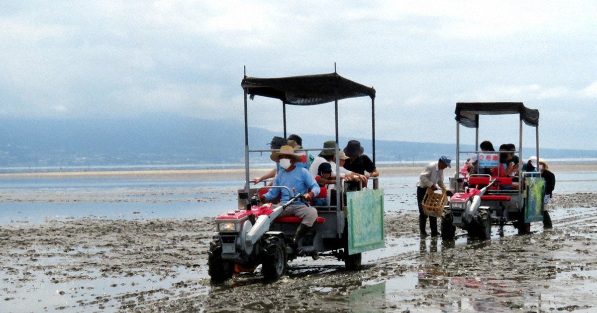 ふらっとぶらっと：熊本 荒尾干潟水鳥・湿地センター（熊本県荒尾市