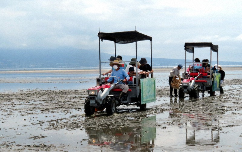 ふらっとぶらっと：熊本 荒尾干潟水鳥・湿地センター（熊本県荒尾市