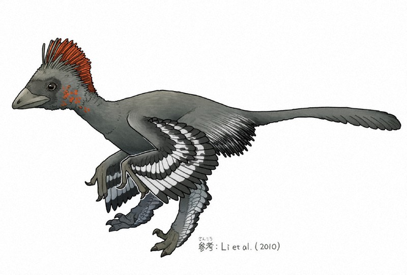 恐竜 色々14体 schleich シュライヒ 恐竜ダイナソー 14体 d