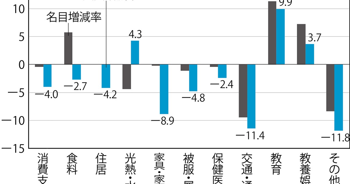 全国消費実態調査報告 平成６年　第６巻　その１/日本統計協会/総務庁統計局（単行本） 全国消費実態調査報告 平成6年 第6巻 その1/日本統計協会