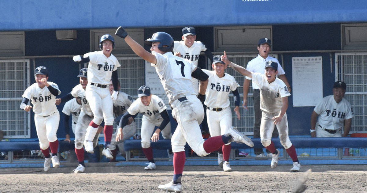 高校野球 甲子園 記念球 履正社 智辯和歌山 大阪桐蔭 金足農業 3球