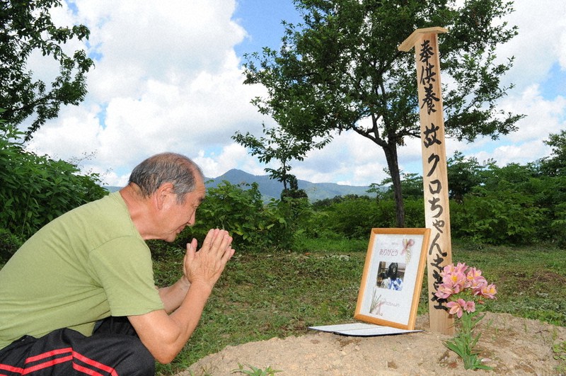 クロちゃん」天国へ 鶴岡で保護のツキノワグマ 飼育の佐藤さん